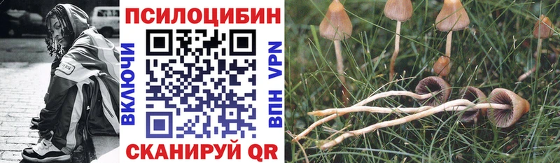 Галлюциногенные грибы мухоморы Кисловодск