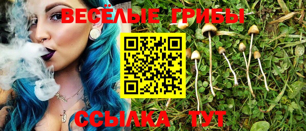 Галлюциногенные грибы мицелий Кисловодск