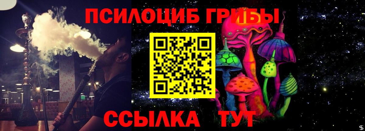 Галлюциногенные грибы MAGIC MUSHROOMS  Вход с VPN  Кисловодск 