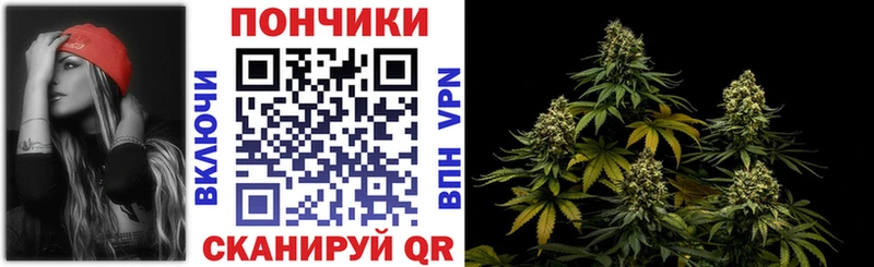 Бошки марихуана Bruce Banner Кисловодск